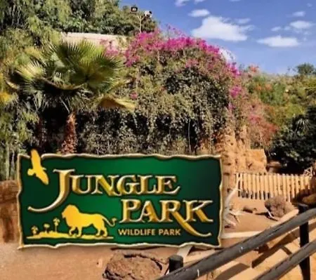 Waves Of Tranquility