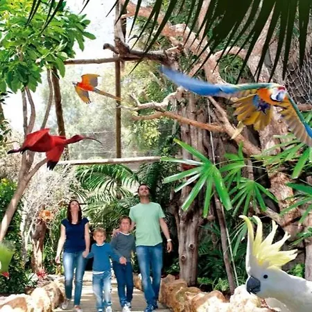 Waves Of Tranquility Апартаменты *