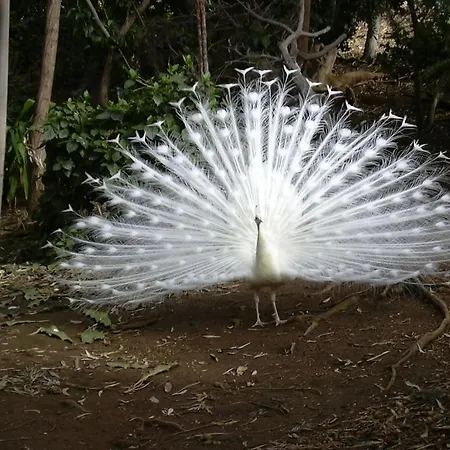 Апартаменты Waves Of Tranquility *